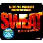 28-05-2010 - columbia_sony stefan - news - merzad+mark single.jpg
